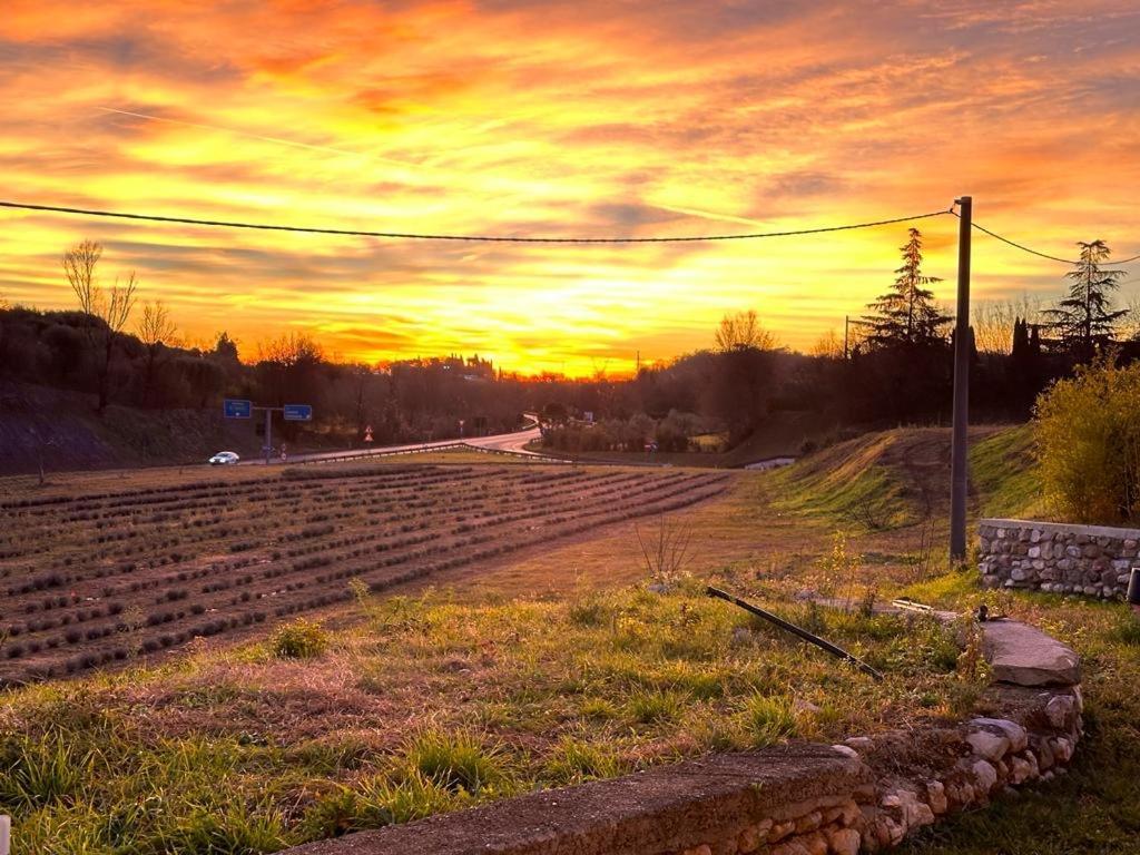 Agriturismo Al Mancino Lonato Kültér fotó